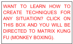 WANT TO LEARN HOW TO CREATE TECHNIQUES FOR ANY SITUATION? CLICK ON THIS BOX AND YOU WILL BE DIRECTED TO MATRIX KUNG FU (MONKEY BOXING).
