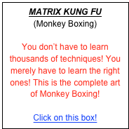 MATRIX KUNG FU
(Monkey Boxing)

You don’t have to learn thousands of techniques! You merely have to learn the right ones! This course includes the Art of Monkey Boxing!

Click on this box!
